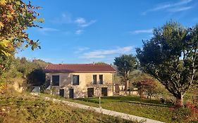 La Truffiere Des Collines - Cote Tilleul